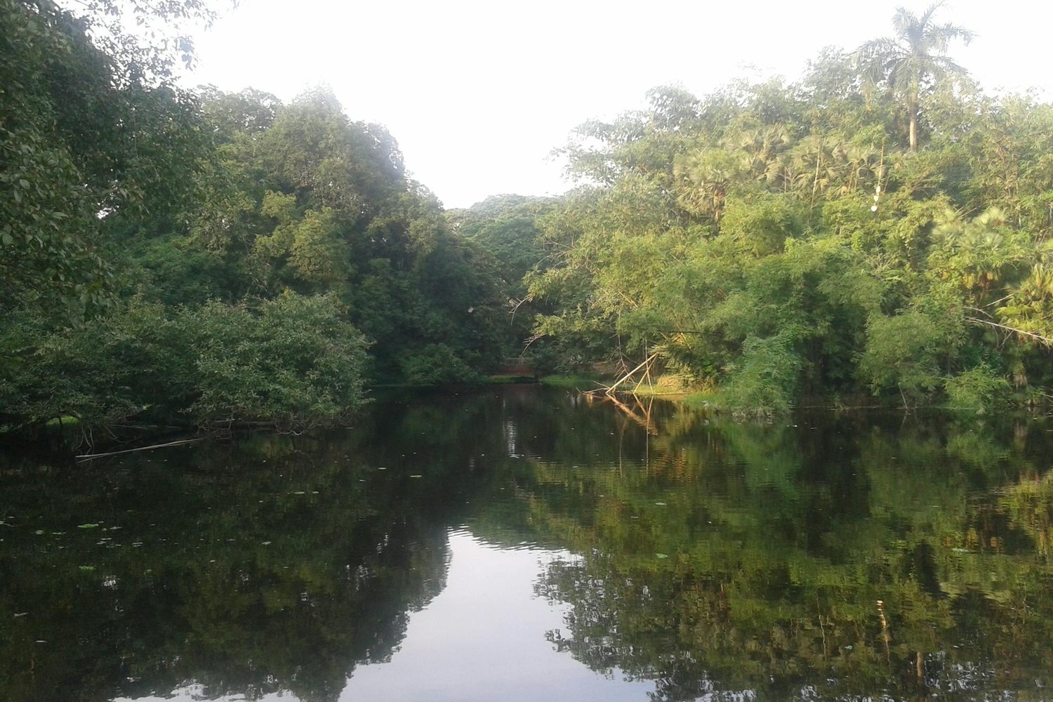 Amunra